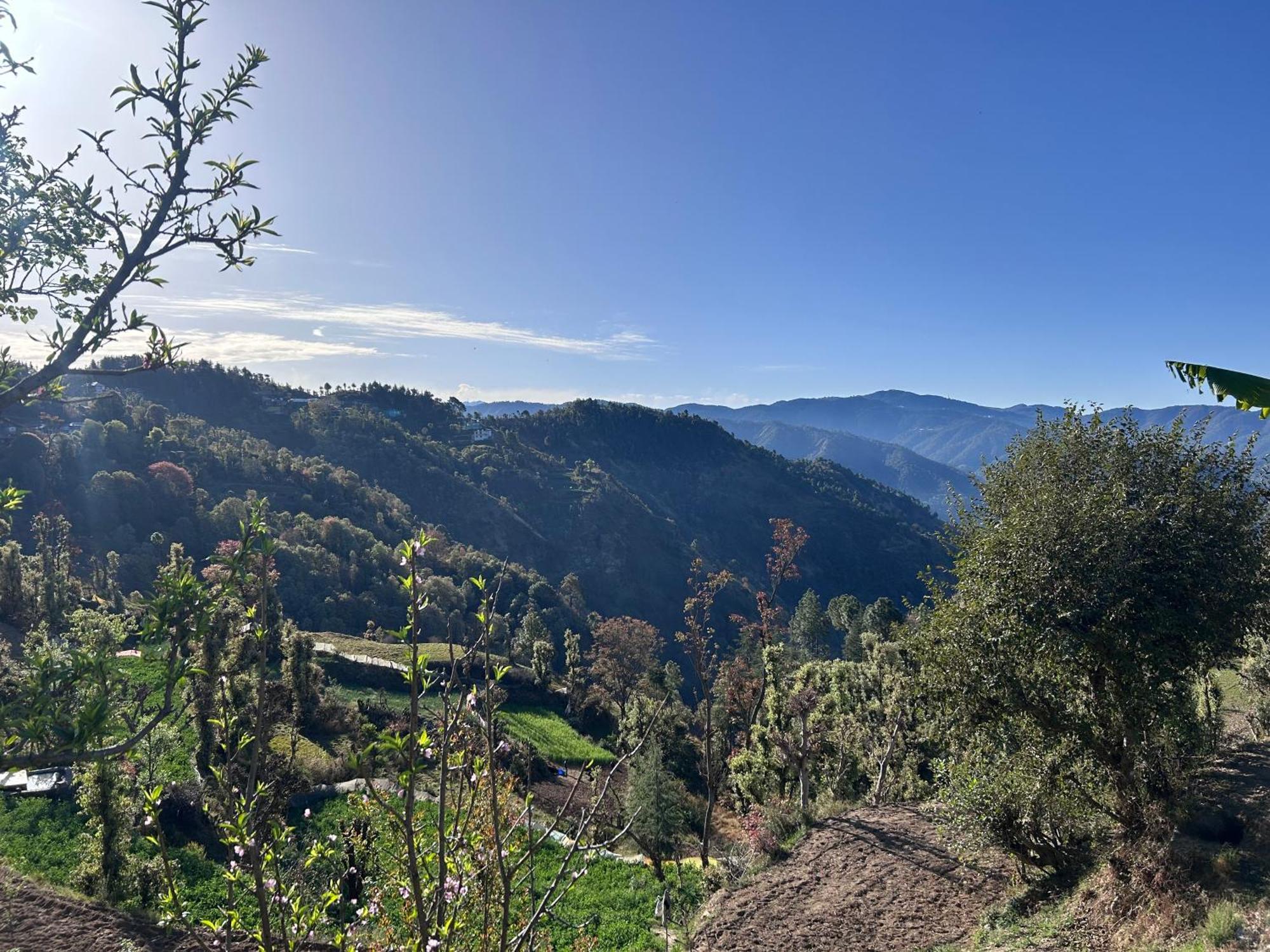 Shalom Hillcrest Inn Shimla Ngoại thất bức ảnh